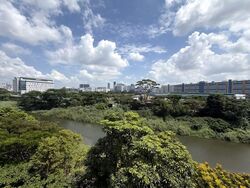 Faber Walk (D5), Condominium #602262801